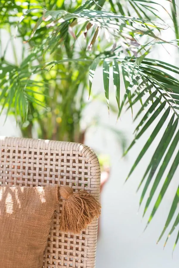 Apartmán The Olive Boutique Suites & Spa Cala Llonga  Španělsko
